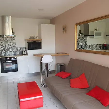 Apartment Maison Confort Avec Exterieur Face A L'etang Le Barcarès